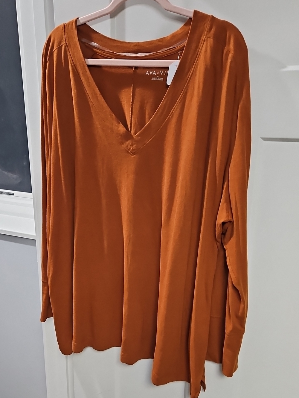 Ava & Viv Rust Orange V-Neck Long Sleeve Top - Picture 1 of 4